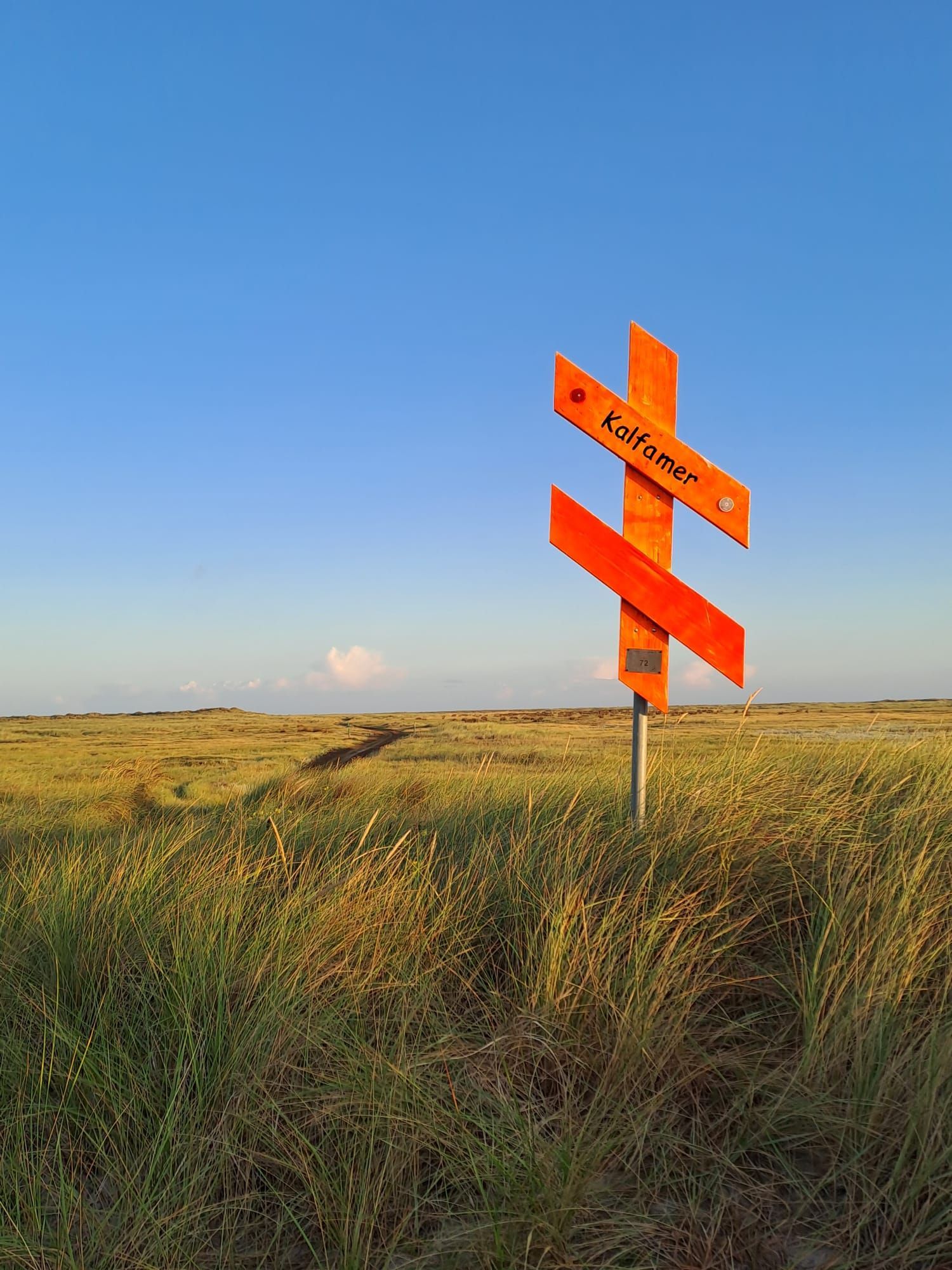 Orangenes Holzschild mit der Aufschrift Kalfamer steht in gold-grüner Dünenlandschaft, am Horizont Wolken, darüber hellblauer Himmel
