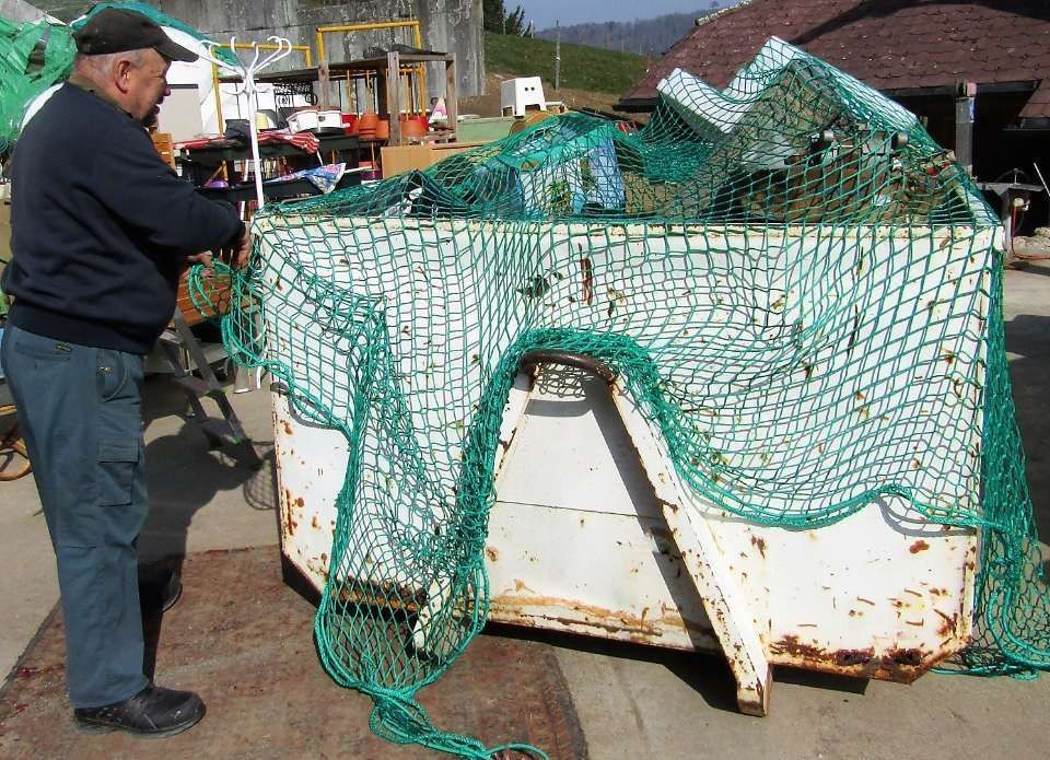 Gefüllter Container der Firma Hofmann Umzüge