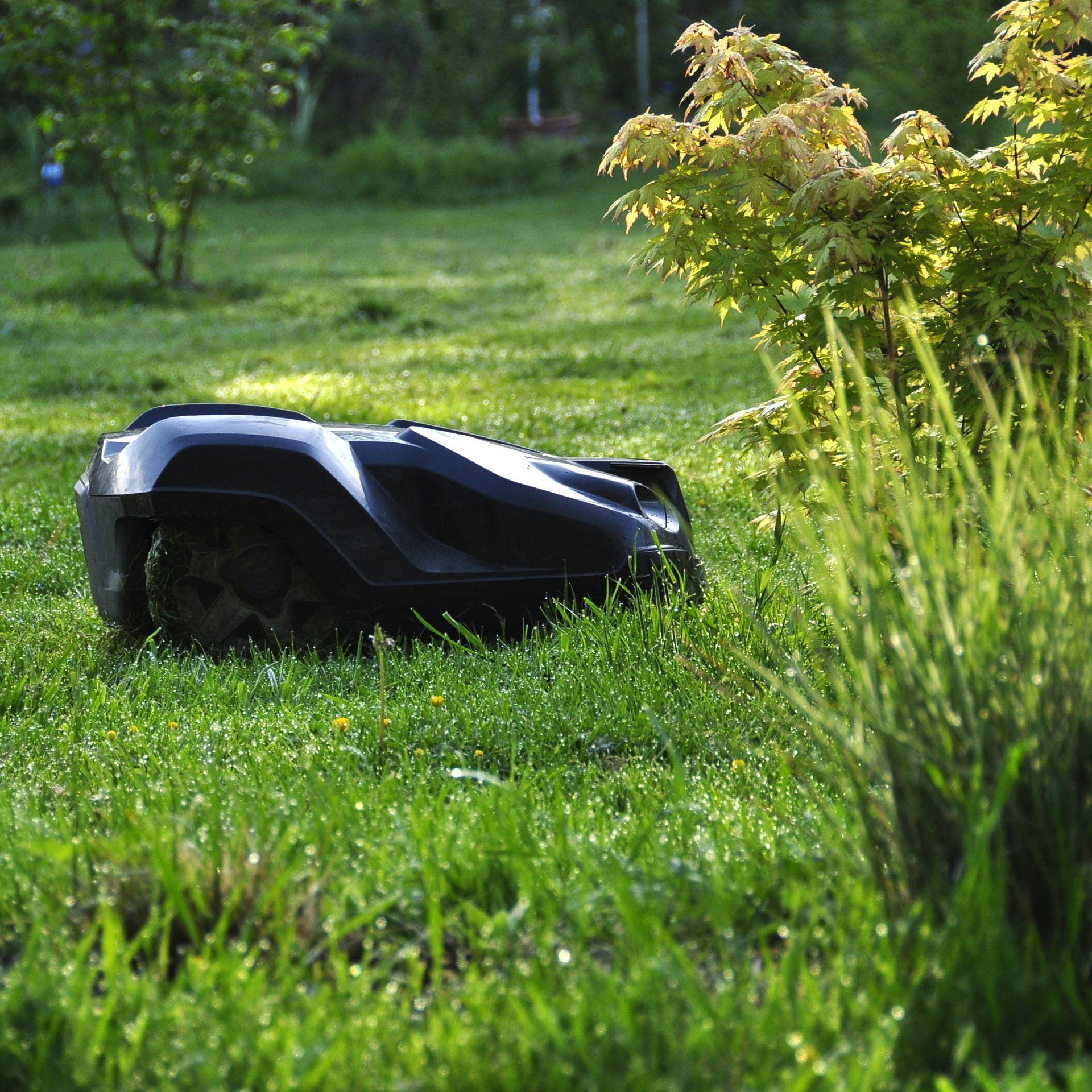 Tondeuse à gazon robotisée noire sur de l'herbe verte dans un jardin ensoleillé avec de hautes plantes.