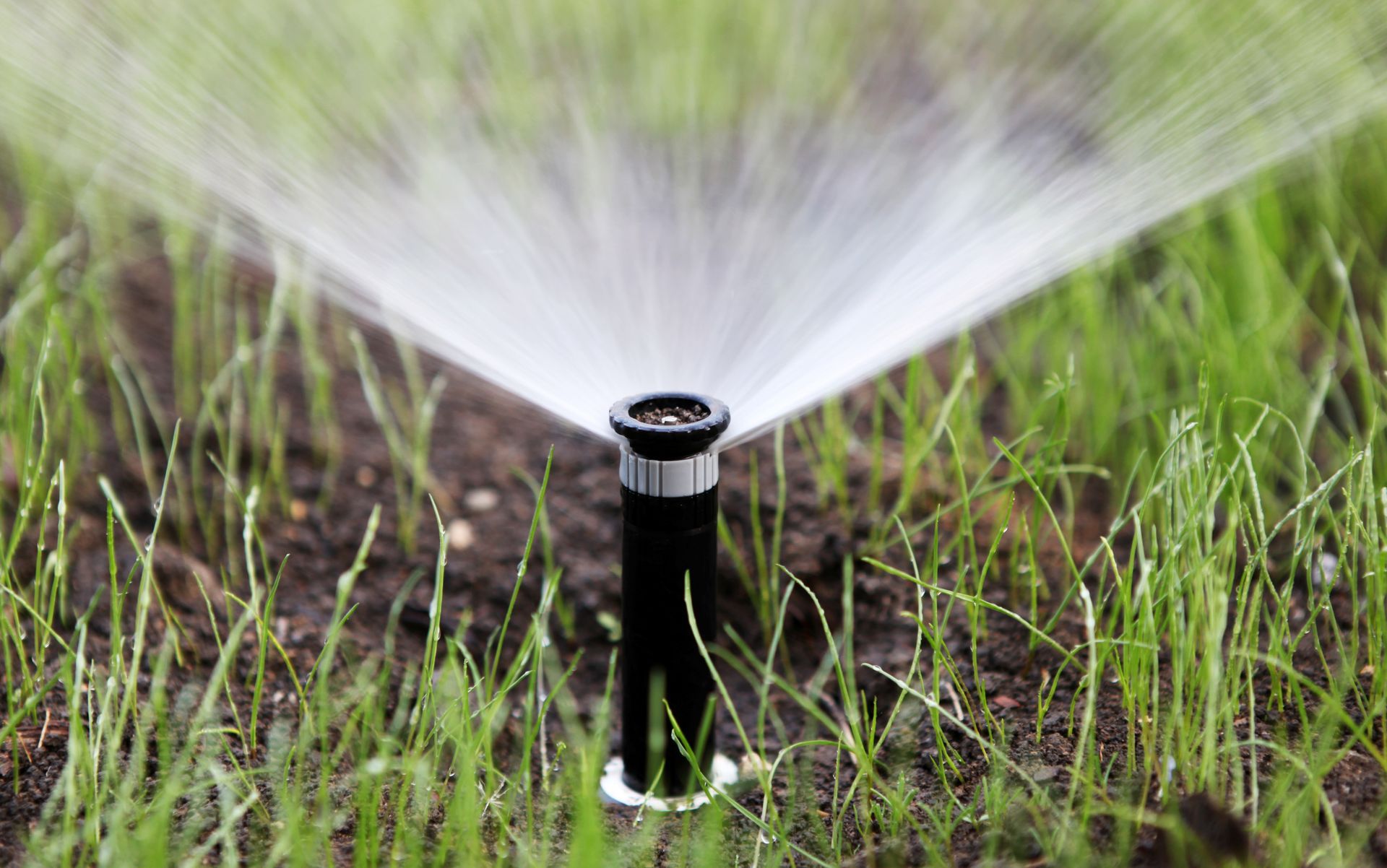 Un arroseur automatique noir projette de l'eau sur l'herbe verte et le sol.
