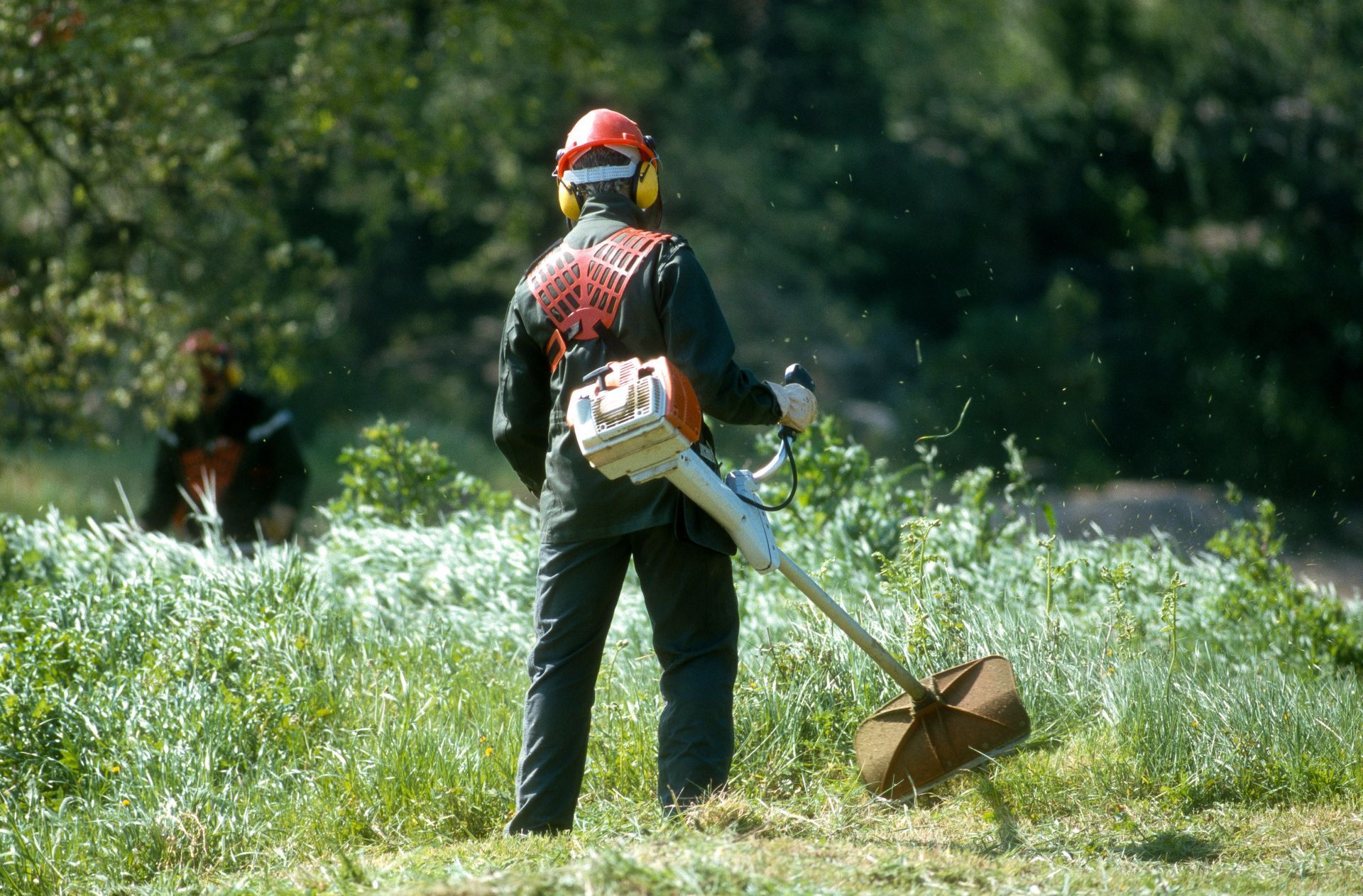 Ouvrier utilisant une débroussailleuse dans un champ herbeux, portant un équipement de protection et un casque orange.