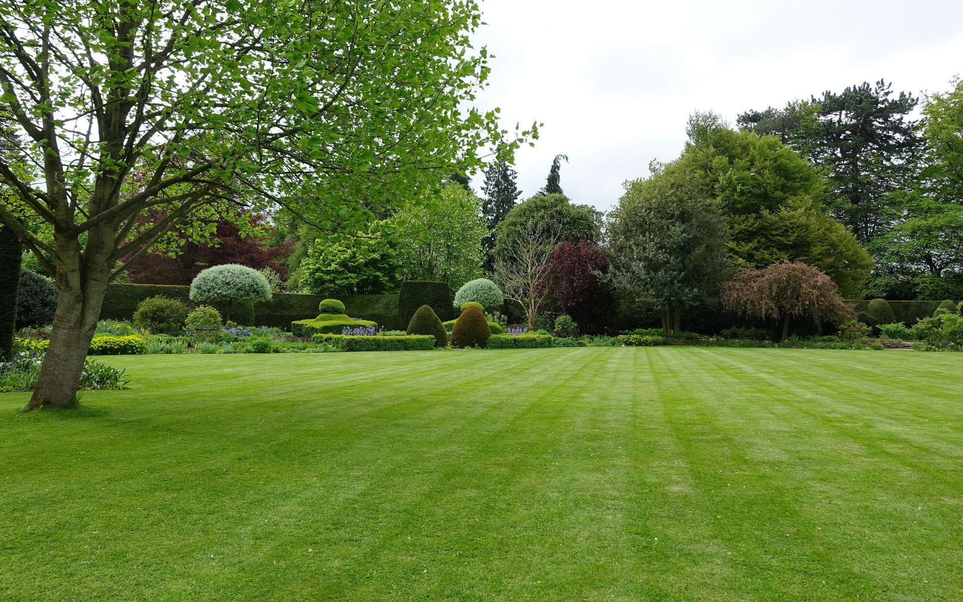 Pelouse verdoyante luxuriante avec arbres et arbustes dans un jardin paysager sous un ciel couvert.
