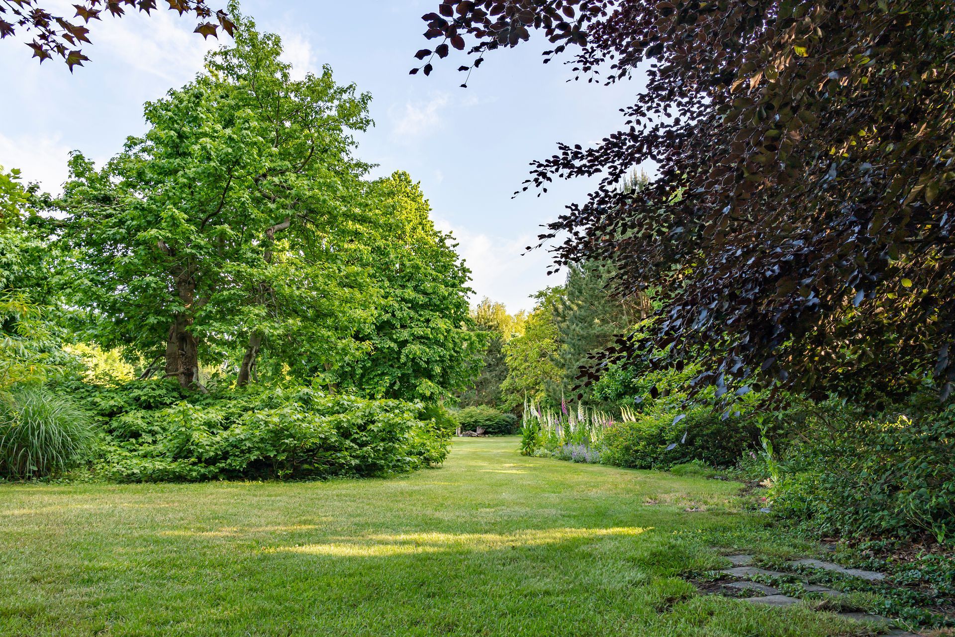 Parc verdoyant et ensoleillé avec de grands arbres et une pelouse.