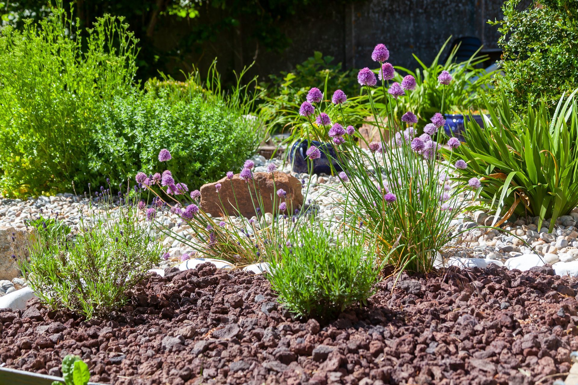 Massif lumineux avec des fleurs violettes, des arbustes verts et des pierres décoratives au soleil