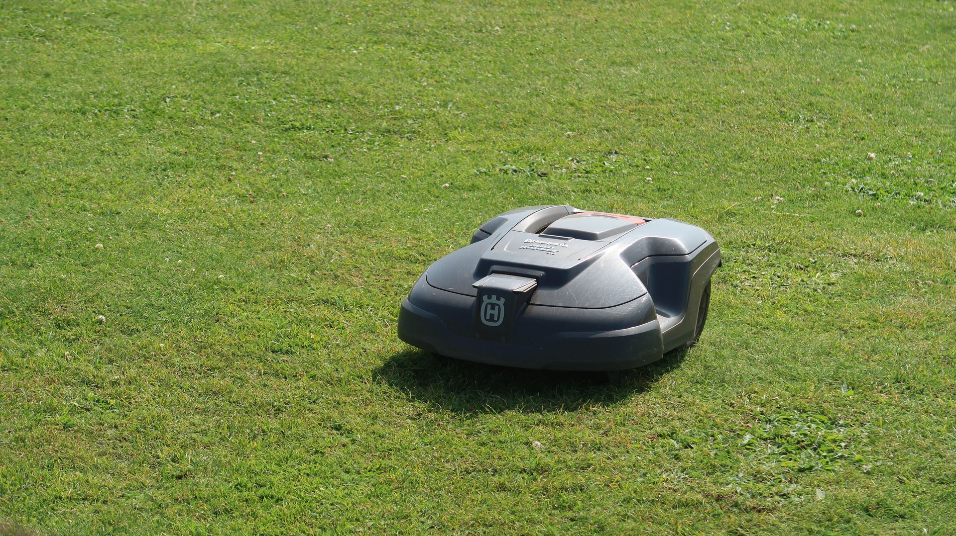 Un petit robot-tondeuse noir sur de l'herbe verte.