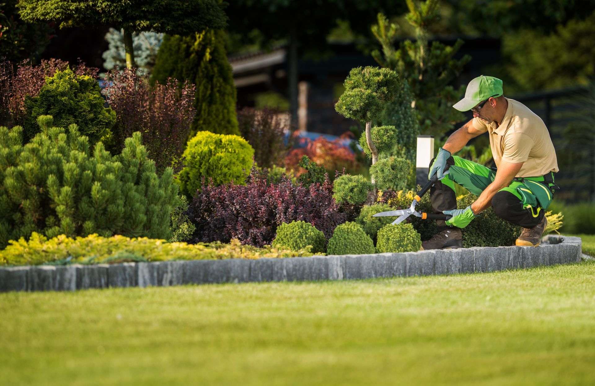 Un jardinier taille des arbustes avec un taille-haie dans un jardin paysager coloré.