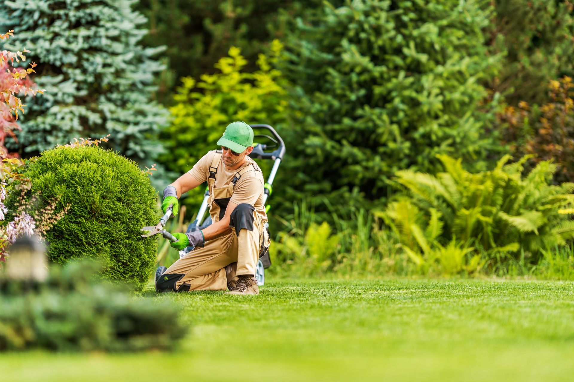 Un jardinier taille une haie avec un coupe-bordures dans un jardin verdoyant et luxuriant.