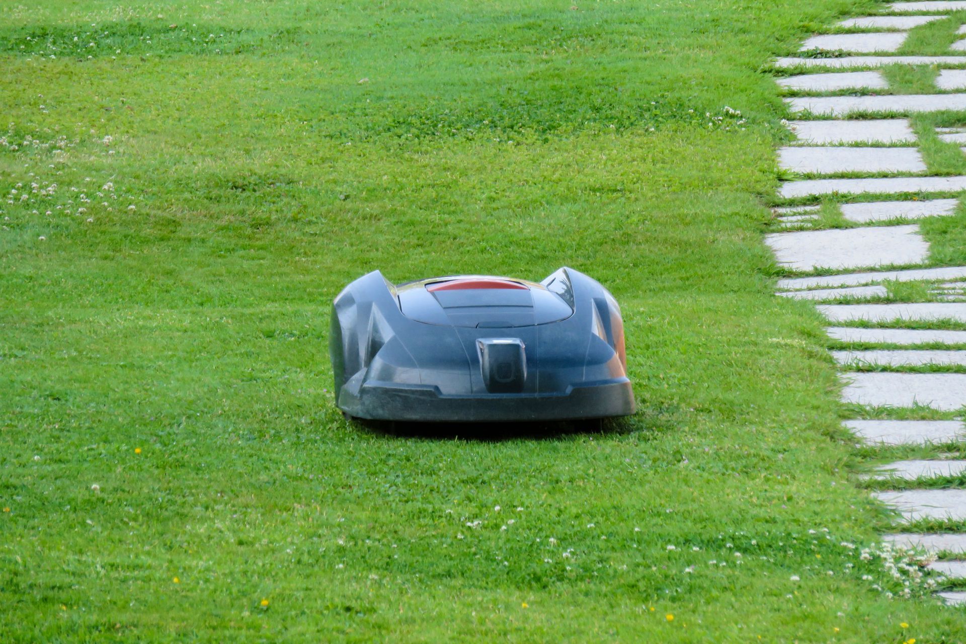 Petite tondeuse robotisée grise sur une pelouse bordant un chemin de pierres