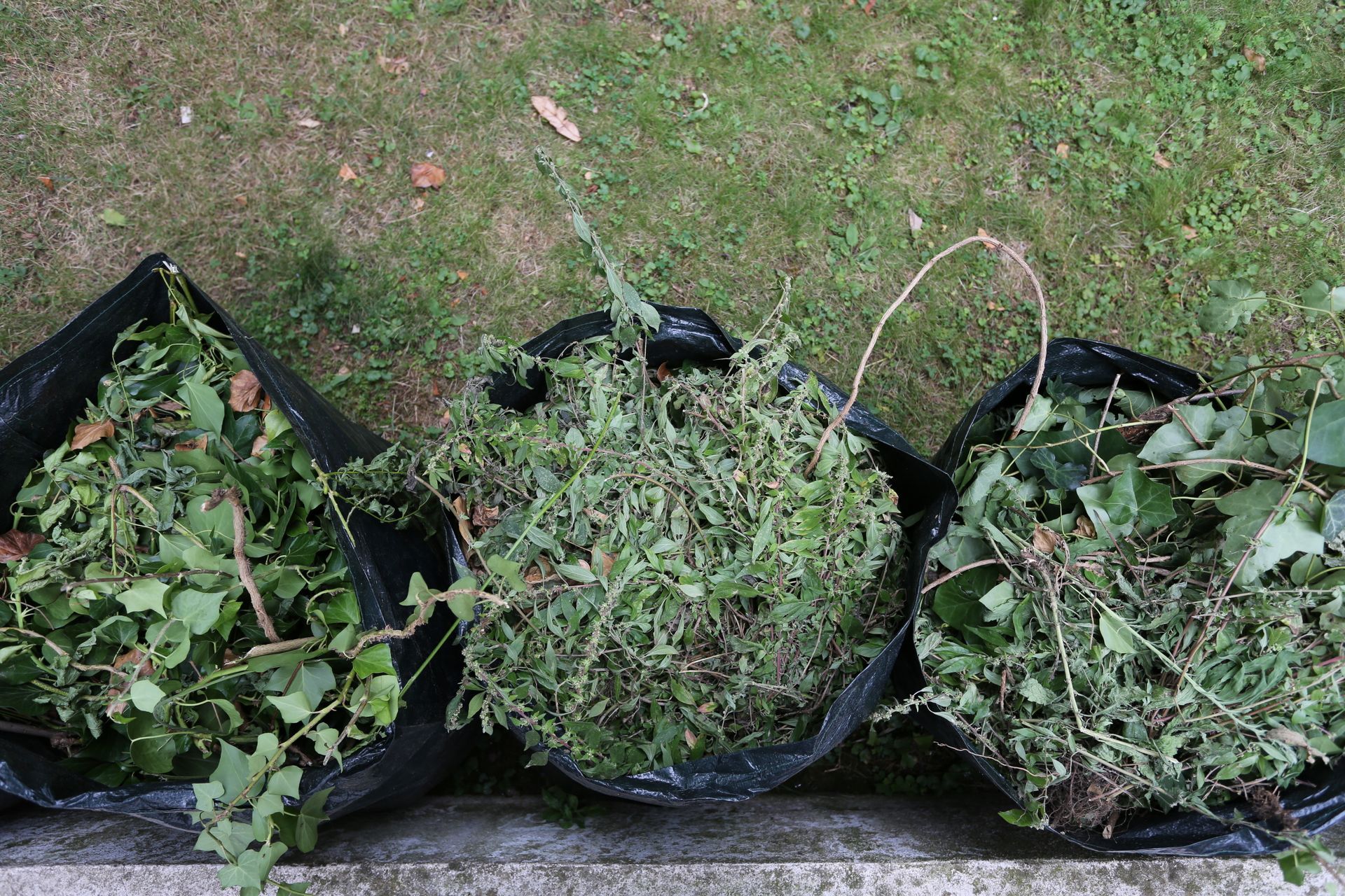 Trois sacs noirs remplis de déchets de plantes vertes sur l'herbe au bord d'un trottoir.