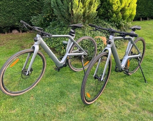 Dos bicicletas eléctricas grises sobre un césped, con árboles al fondo