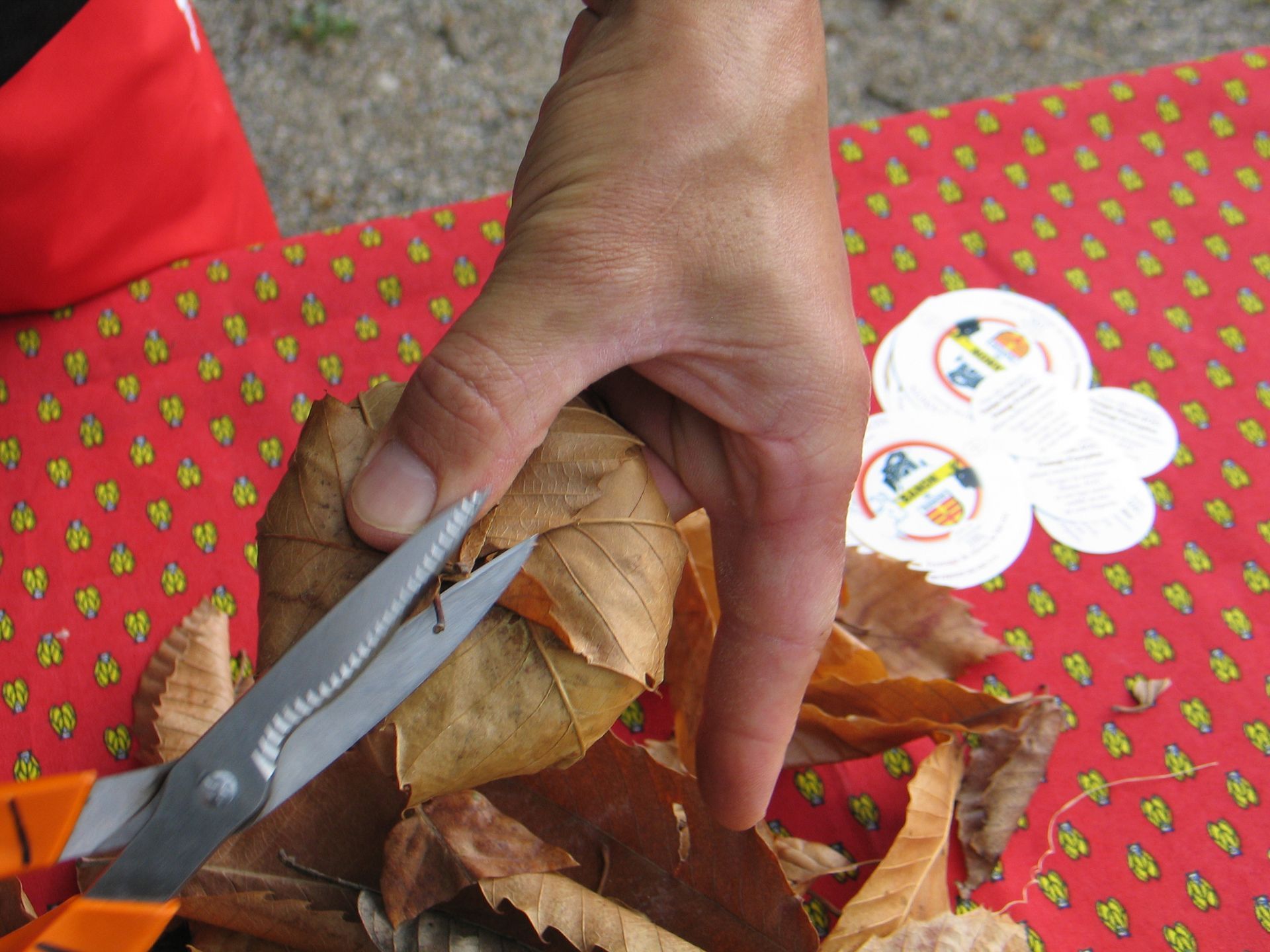 Pliage du fromage de chèvre