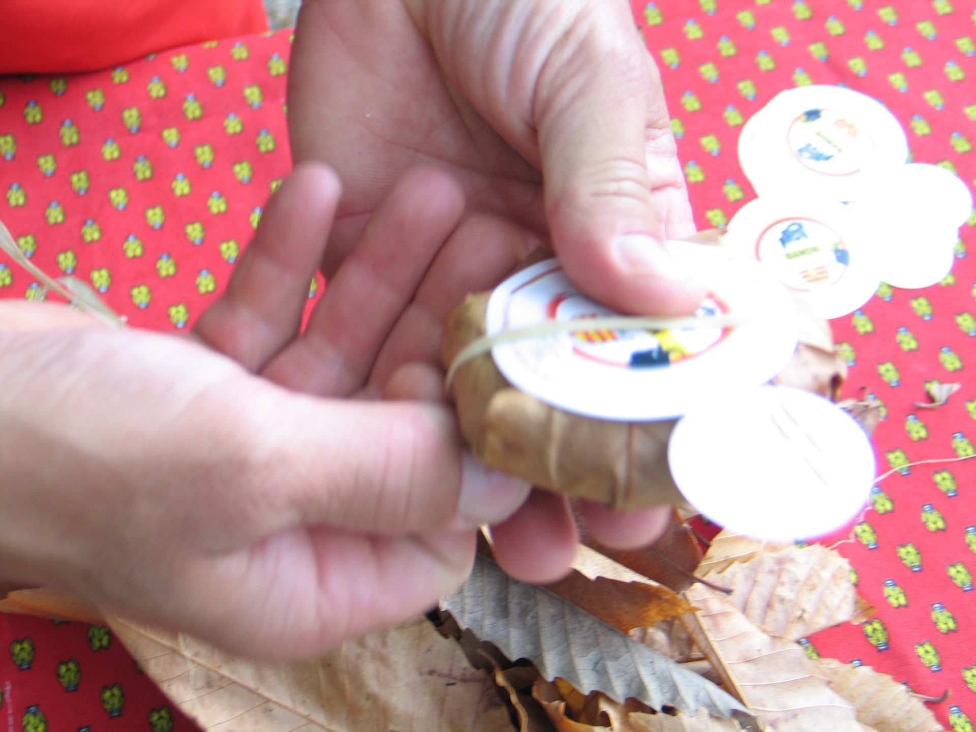 Pliage du fromage de chèvre AOP