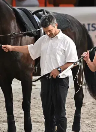 Hombre con camisa blanca, pantalón negro y reloj interactuando con un caballo oscuro en un evento.