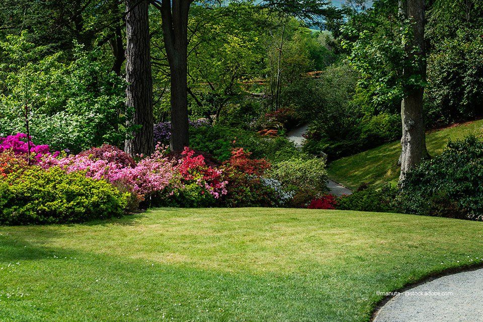 Forst- & Gartentechnik Escher GmbH – Garten