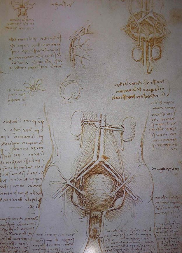 Schüsse vom Ende des 2. Weltkrieges