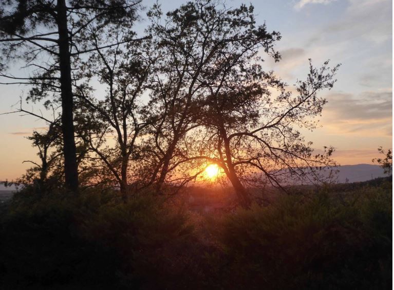 Schüsse vom Ende des 2. Weltkrieges