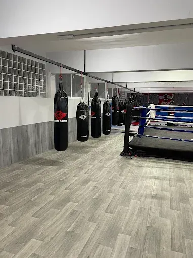 sala de boxeo y ring