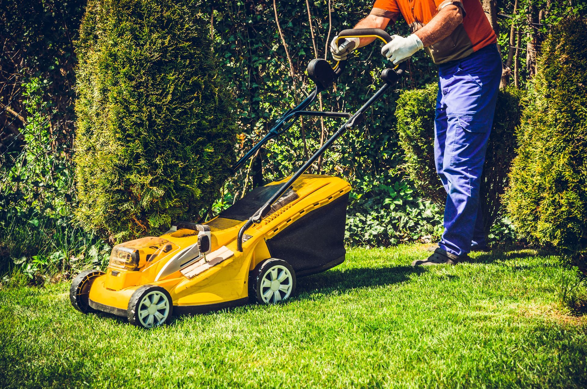 Tonte de pelouse avec tondeuse jaune
