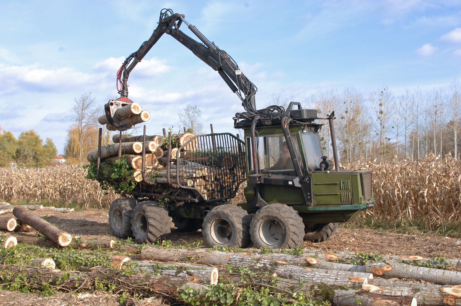 Remorquage du bois après un abattage pour le débardage