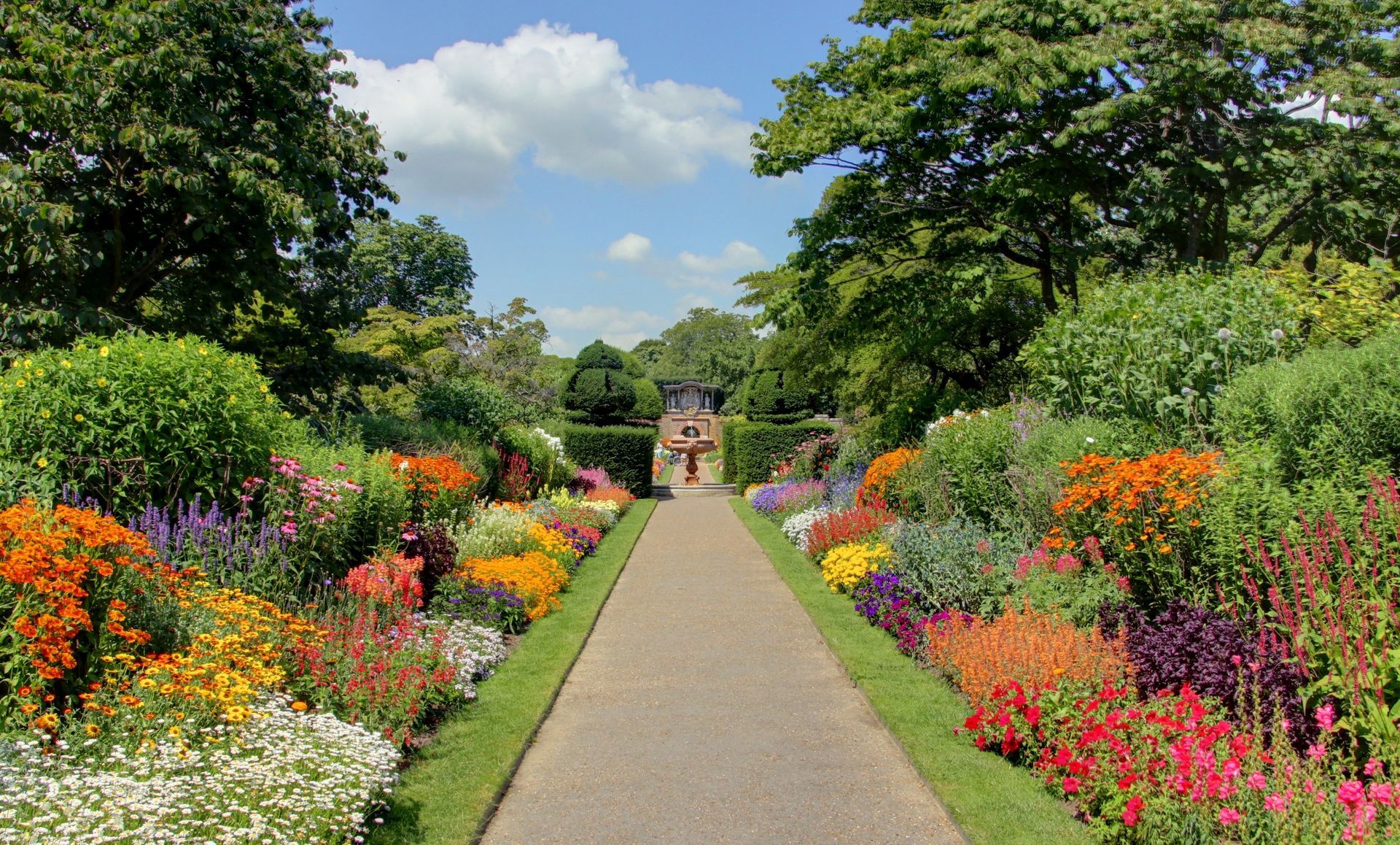 Grande allée de jardin fleuri 