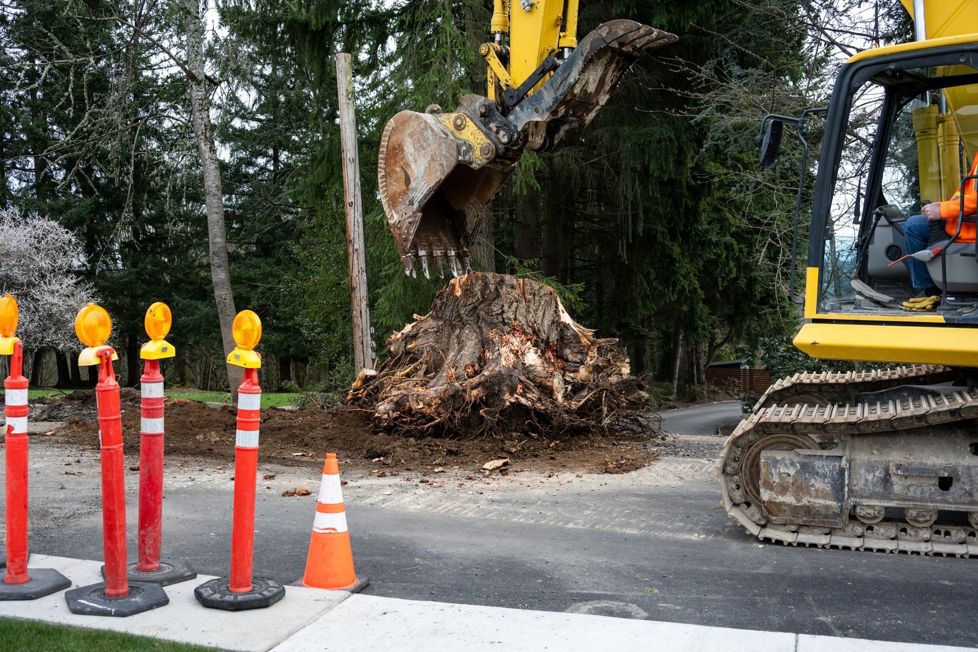Dessouchage avec une pelle de chantier en zone rurale