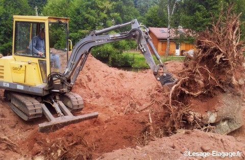 Dessouchage d'une souche énorme avec une pelle de chantier