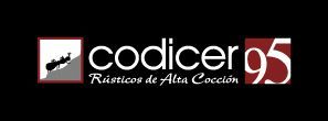 Un logotipo para una empresa llamada Codes 95.