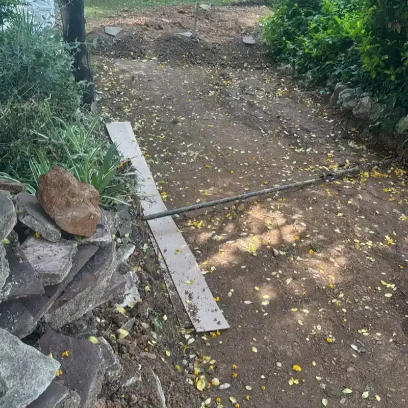 Sendero de tierra al aire libre con hojas esparcidas, piedras y un tablón de madera junto a unos arbustos.
