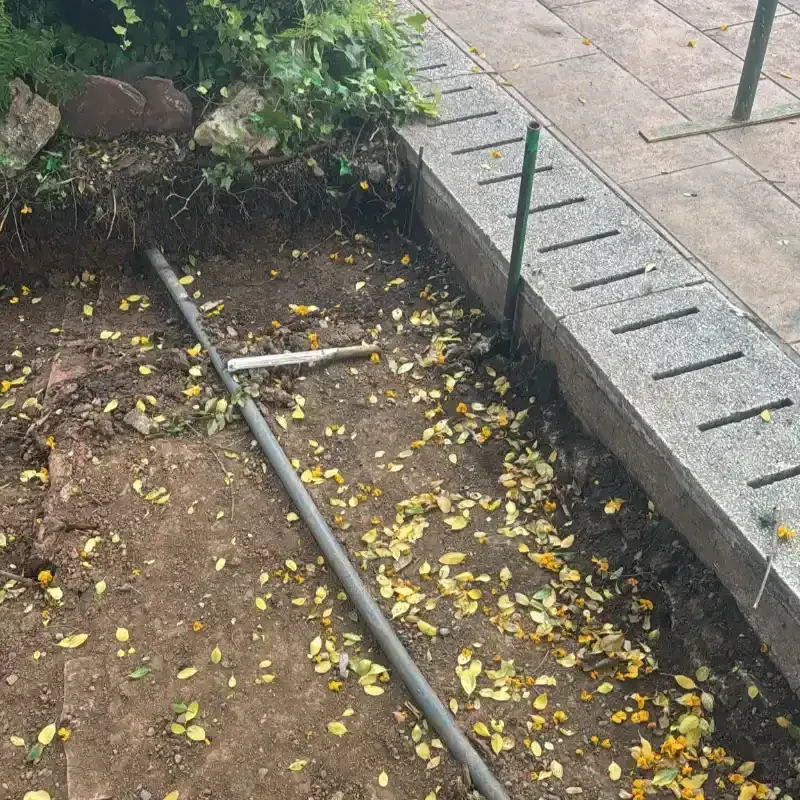 Un riel metálico roto yace sobre un sendero de tierra junto a una acera de hormigón elevada con hojas amarillas esparcidas.