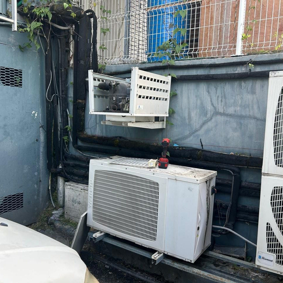 Un climatiseur mural blanc placé au-dessus d'une plante d'intérieur dans une pièce.
