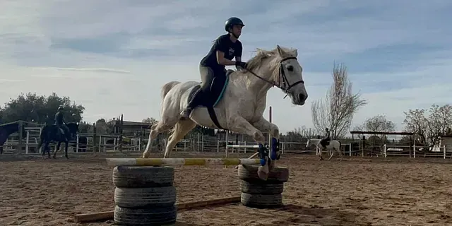 Una persona está montada en un caballo blanco sobre un barril.