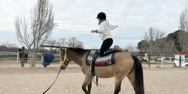 Una persona va montada en el lomo de un caballo.