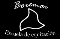 Un fondo negro con un dibujo blanco de un caballo sobre él.