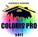 Logo pour Coloris Pro : silhouette de maison noire avec de la peinture qui coule sur une roue colorée et du texte.