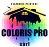 Logo pour Coloris Pro : silhouette de maison noire avec de la peinture qui coule sur une roue colorée et du texte.