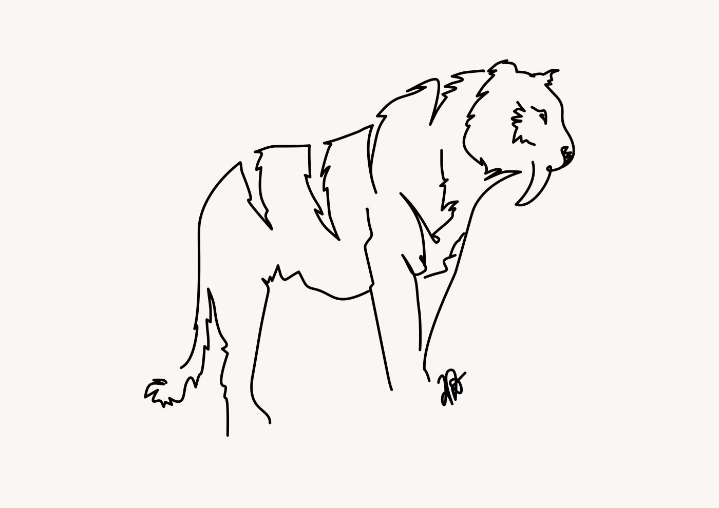 Eistiger - ein weißer Tiger