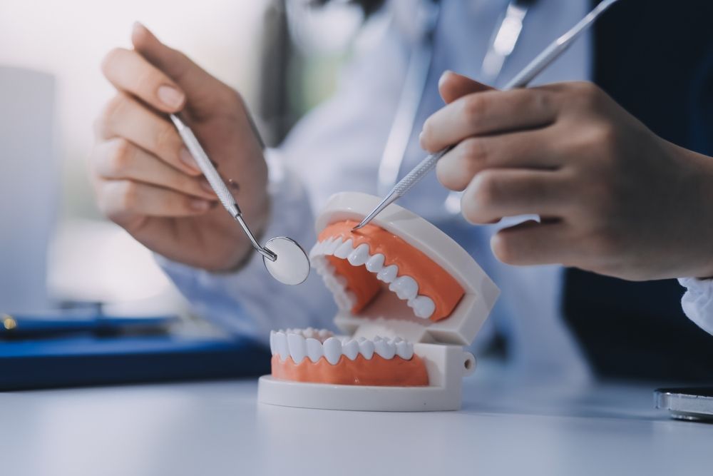 Un dentista utiliza un espejo dental y una sonda exploradora para examinar un modelo dental de dientes humanos sobre una mesa.