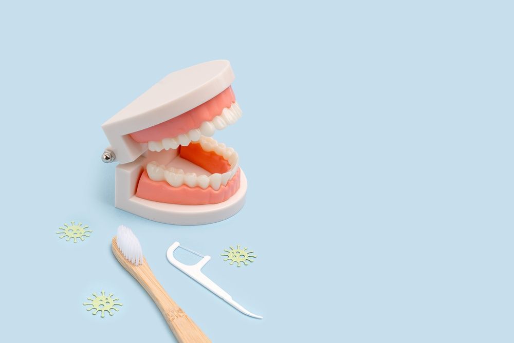 Un modelo de dientes humanos, un cepillo de dientes de bambú e hilo dental sobre un fondo azul claro con pequeños iconos verdes de gérmenes.