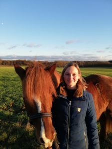 Landschaftsaufnahme unter blauem Himmel mit dem Kopf eines Pferdes im unteren Bildrand (Annika Heim).