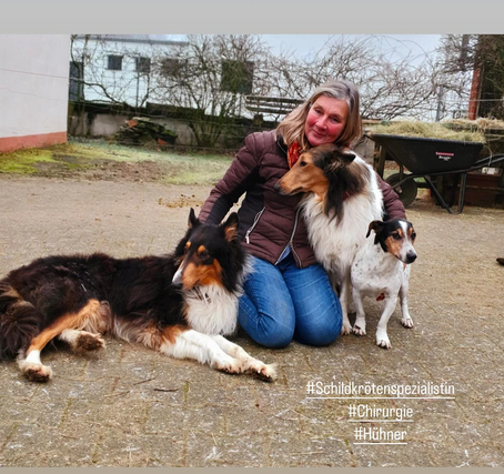 Dr. Susanne Fleck sitzend mit drei Collies auf einer Wiese.