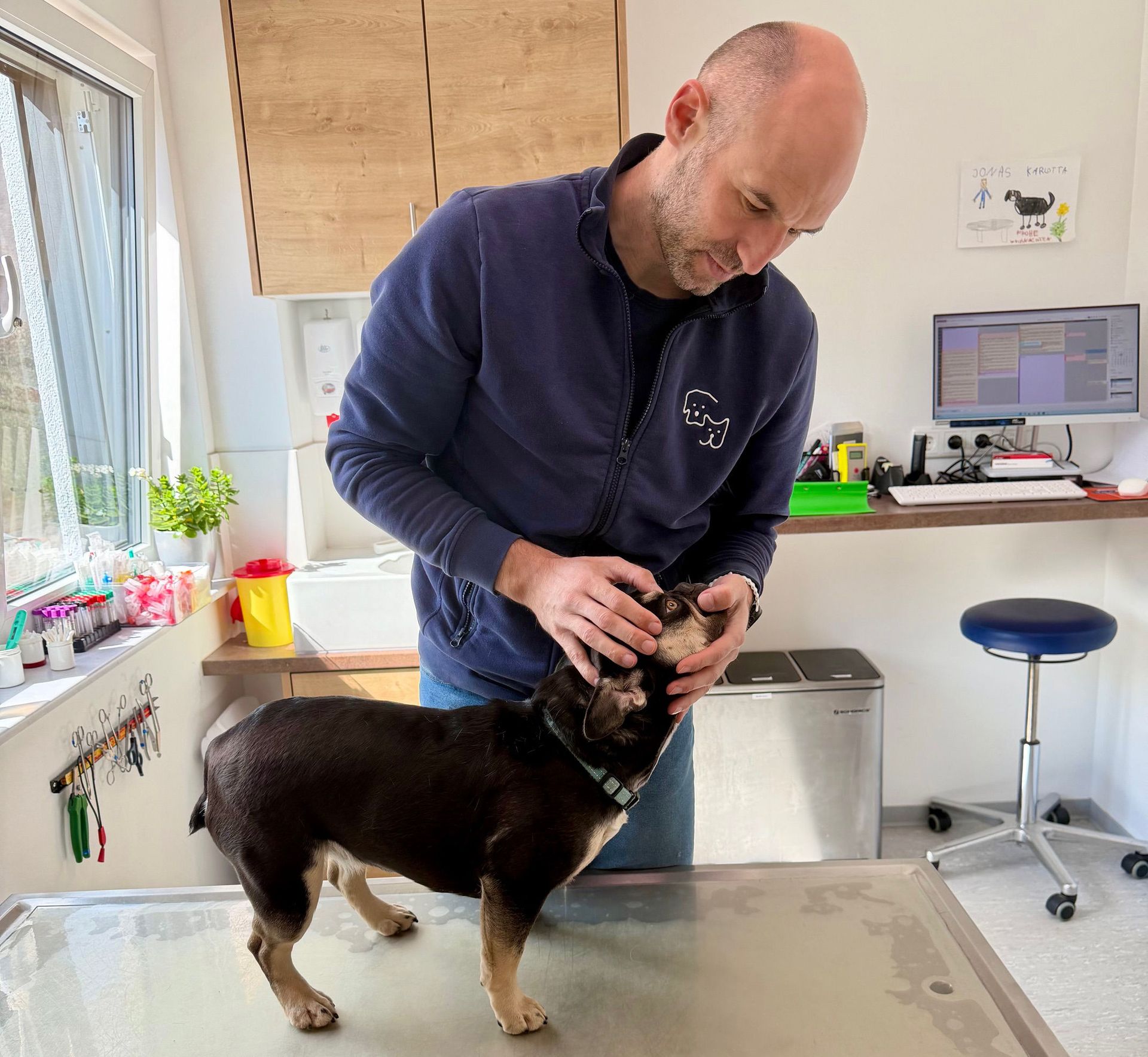 Dr. Jonas Steinel bei der Behandlung eines Hundes