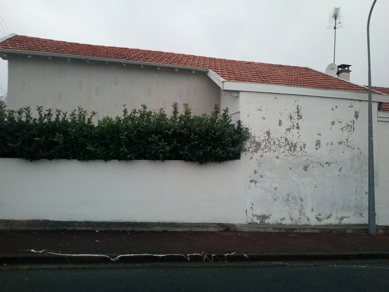 rénovation façade jardin