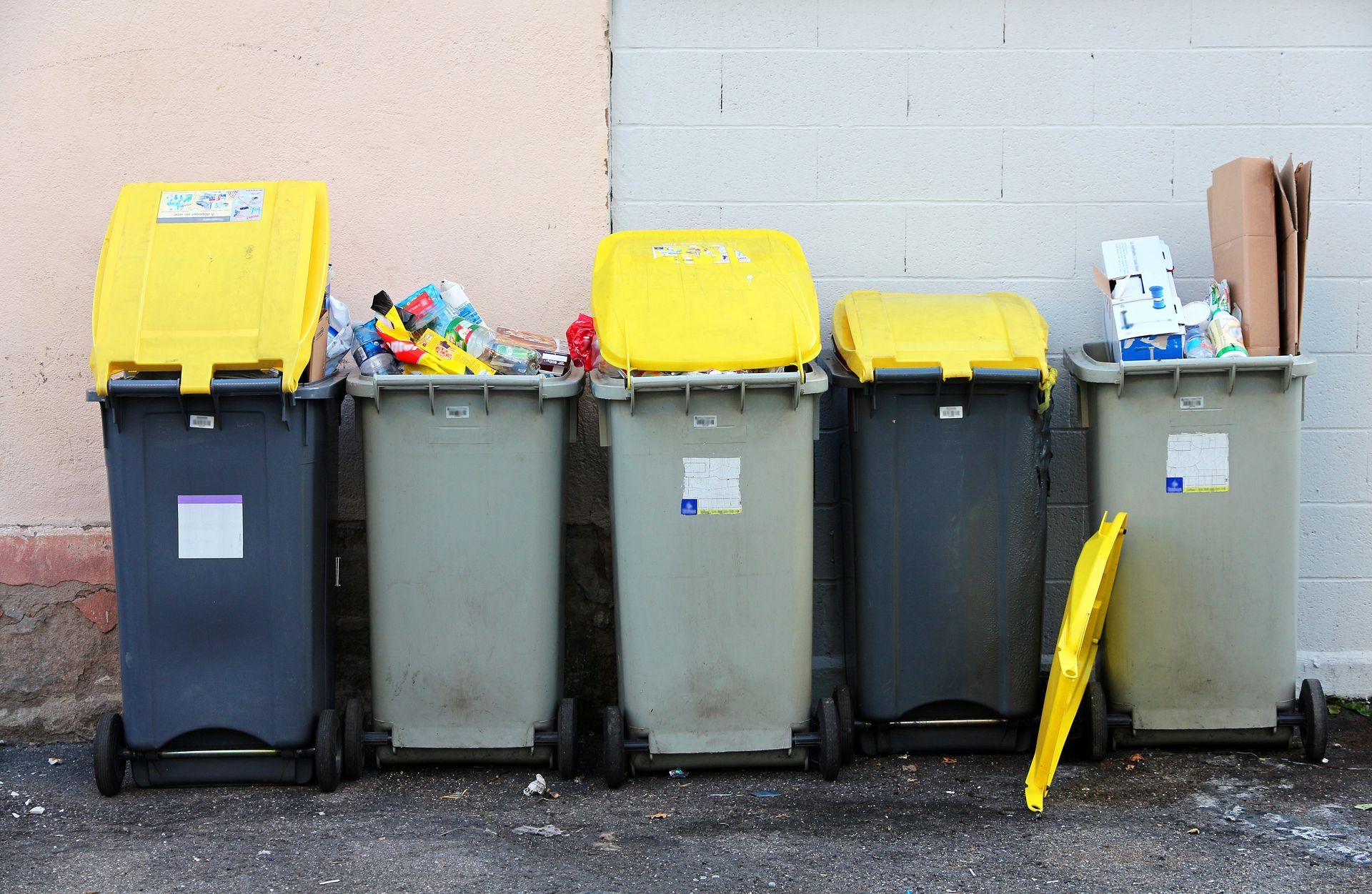 alignement de poubelles