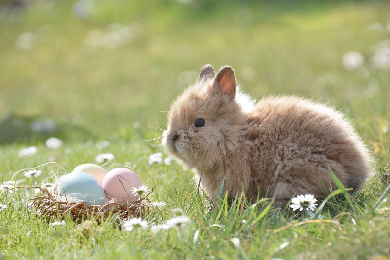 Hotelzimmer mit zwei Betten, Sitzecke, Fernseher und kleinem Tisch.