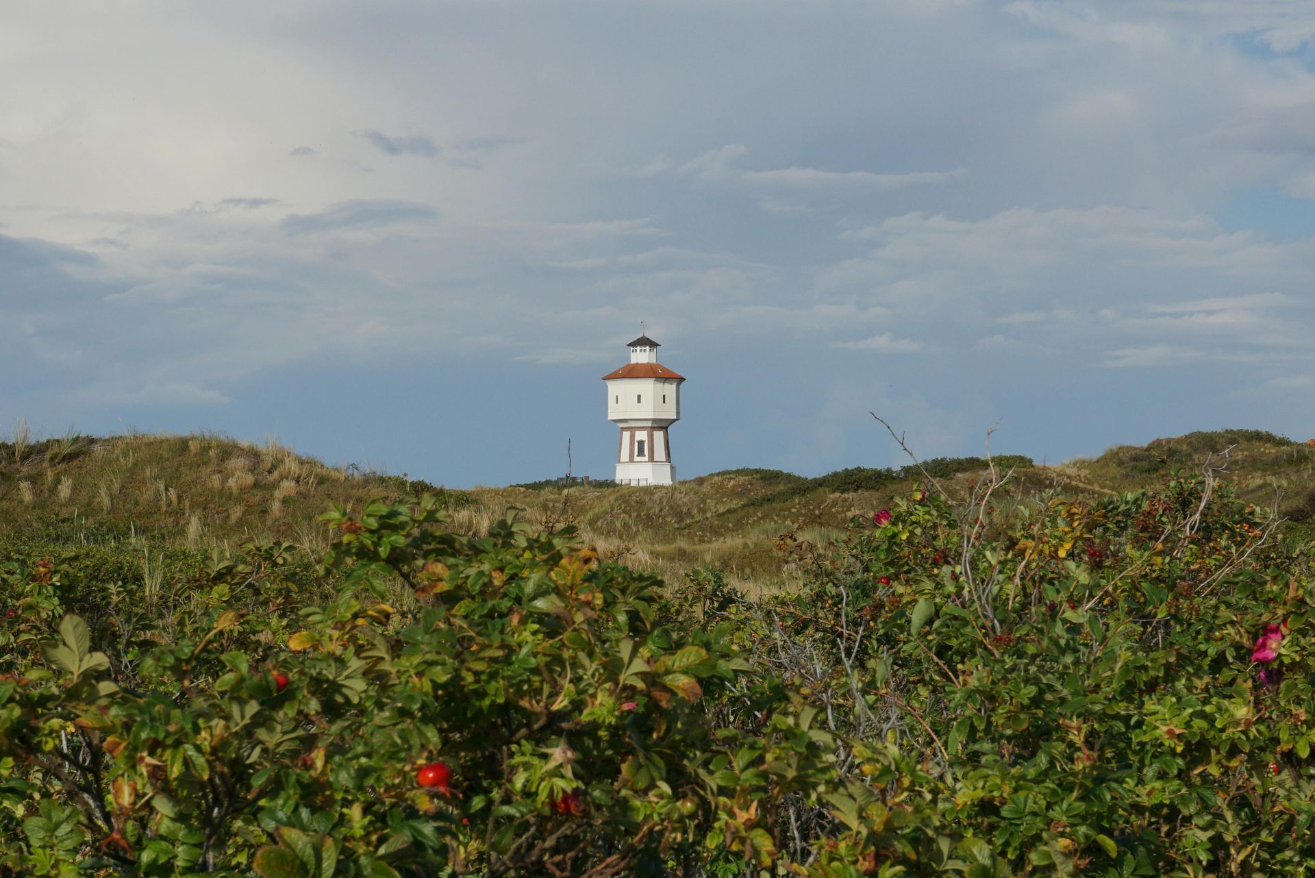 Leuchtturm auf einer Düne, umgeben von grünem Laub mit roten Beeren. Bewölkter Himmel.