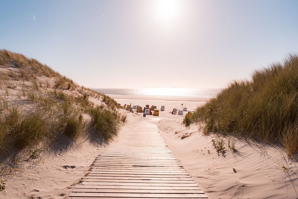 Ein hölzerner Steg führt durch die Sanddünen zu einem sonnigen Strand mit Liegestühlen.