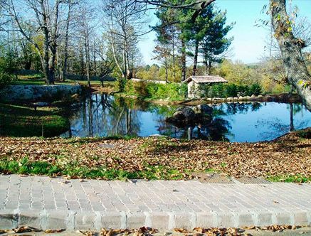 Un estanque rodeado de árboles y hojas en un parque.