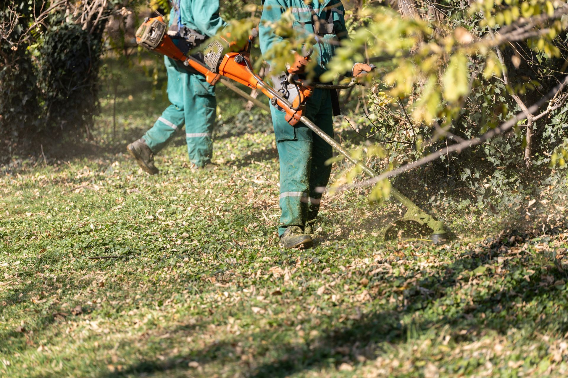 Deux personnes en uniforme de travail vert utilisent des coupe-bordures orange pour tondre la pelouse dans un espace extérieur ensoleillé.