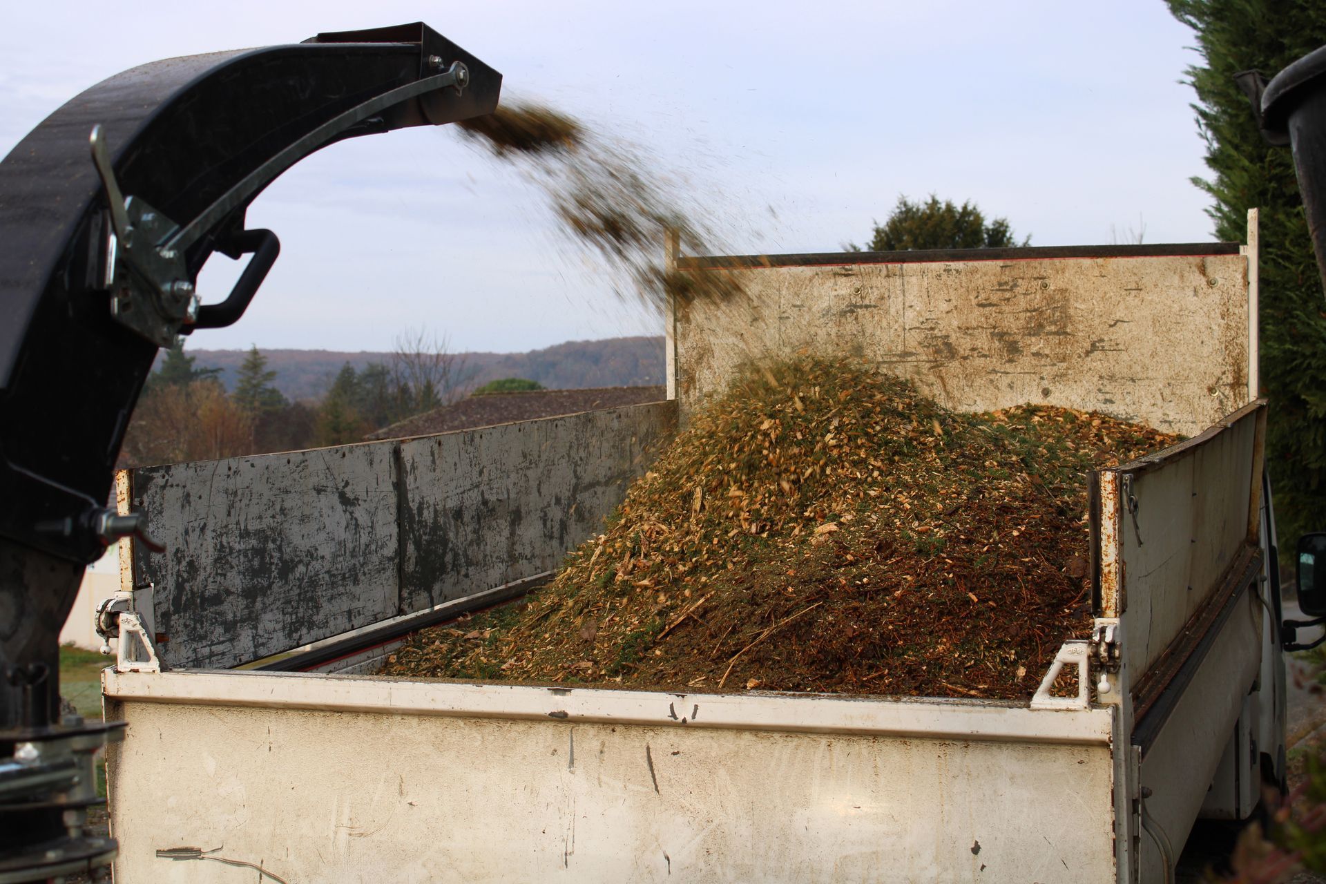 Une déchiqueteuse à bois déverse des copeaux de bois à l'arrière d'un camion-benne blanc.