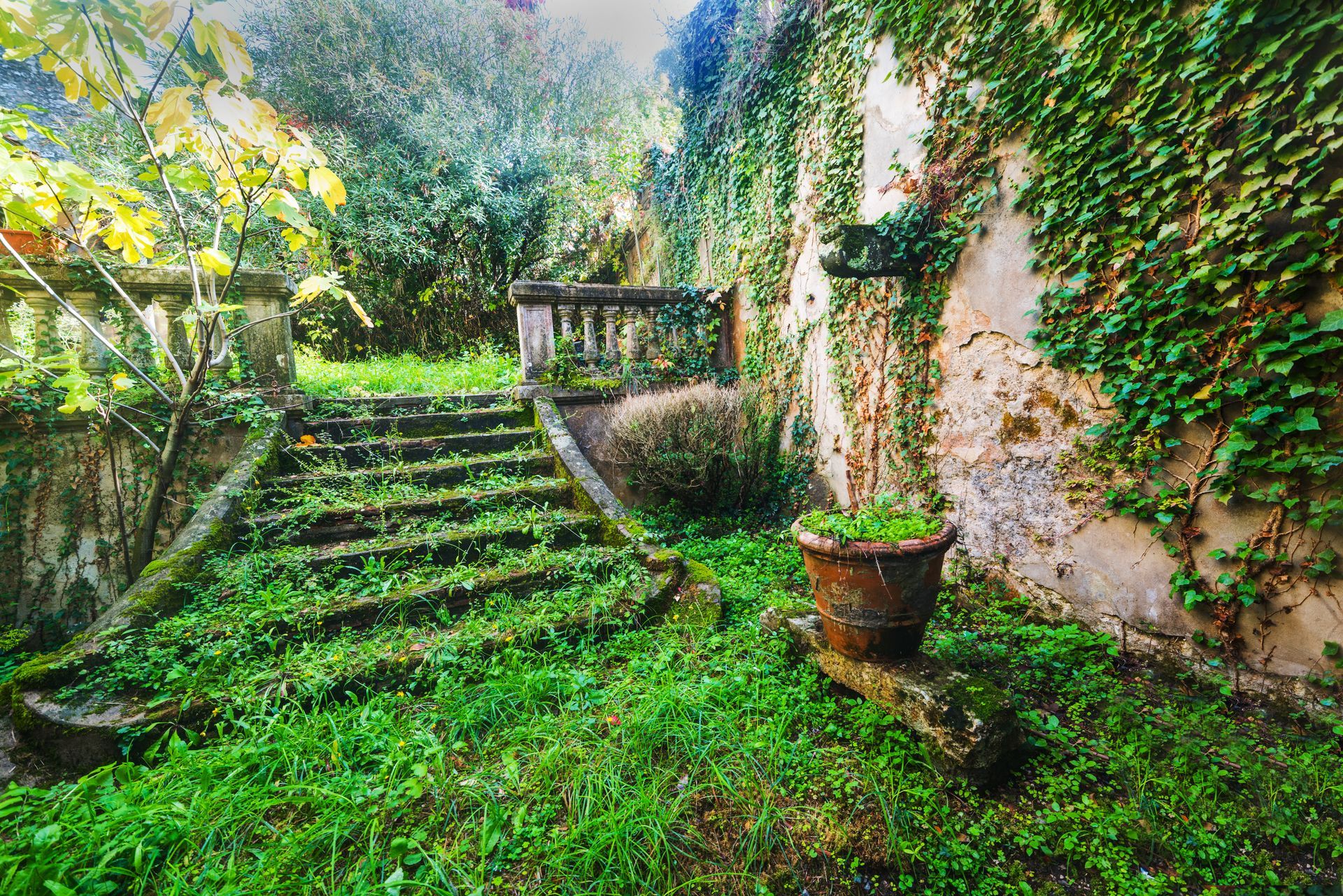 Un escalier de pierre recouvert de mousse mène à un balcon, à côté d'un mur épais recouvert de lierre grimpant et d'un pot en terre cuite.